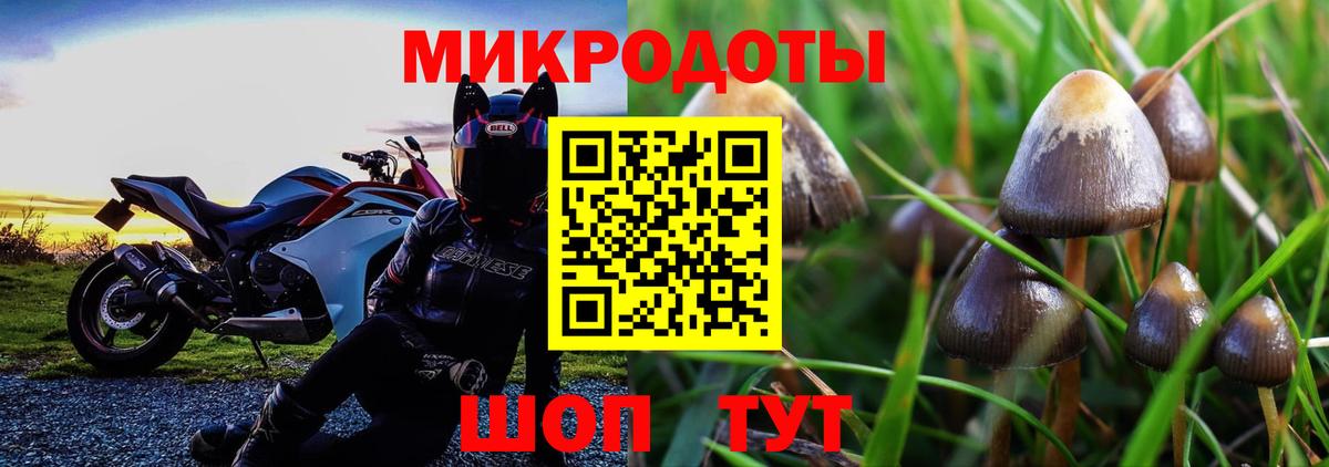 Галлюциногенные грибы Cubensis Дмитров