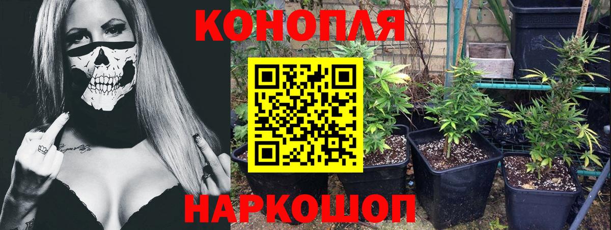 МАРИХУАНА конопля  Бошки марихуана THC 21%  Шишки марихуана THC 21%  Дмитров  Вход с VPN 